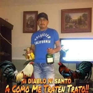 Meet your Posher, Miguel